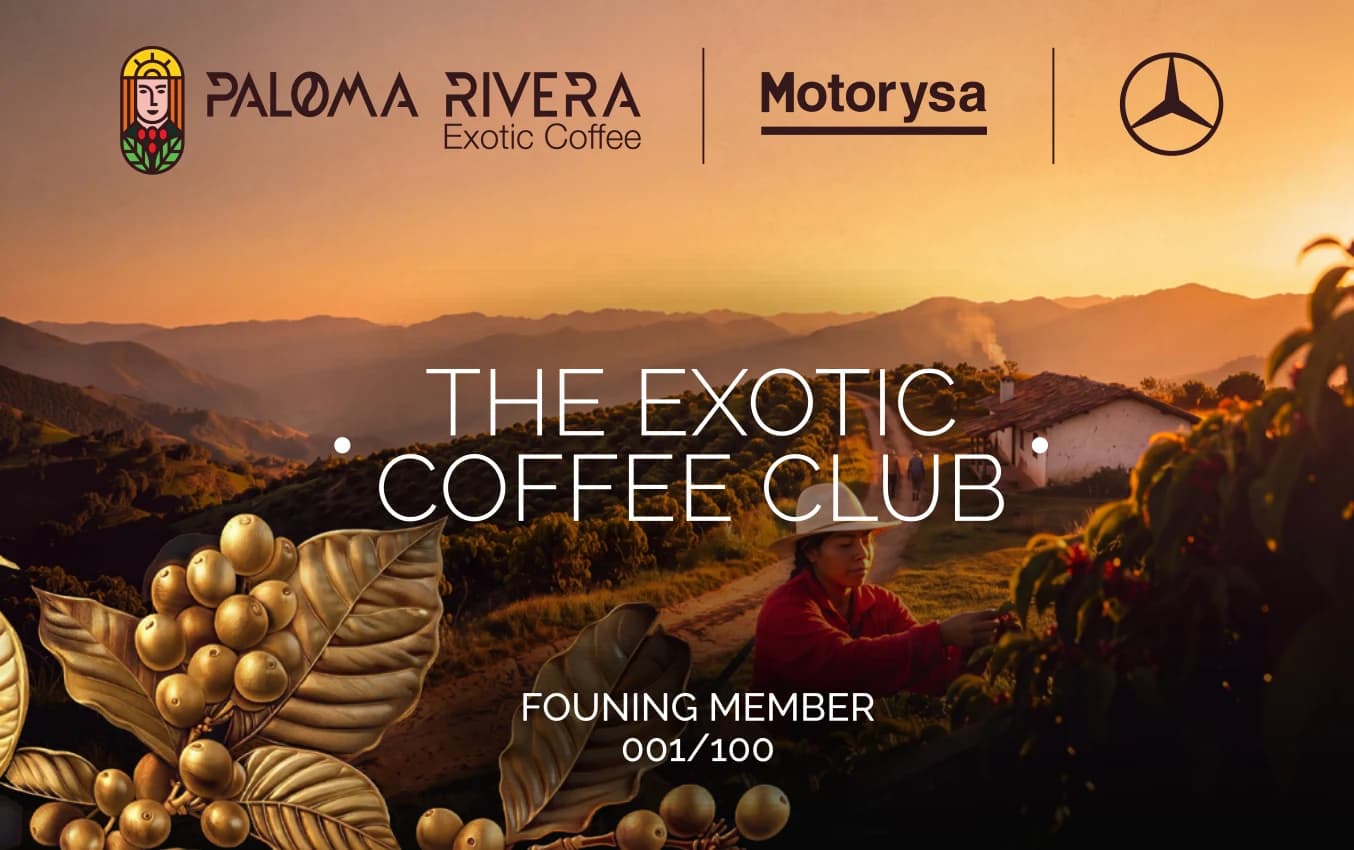 The Exotic Coffee Club — Paloma Rivera × Motorysa Mercedes-Benz