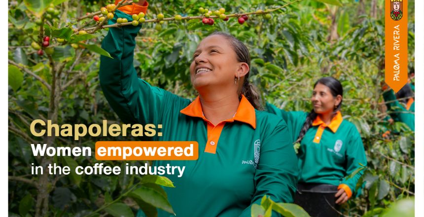 Chapolera-women-empowered-in-the-coffee-industry-Paloma-Rivera