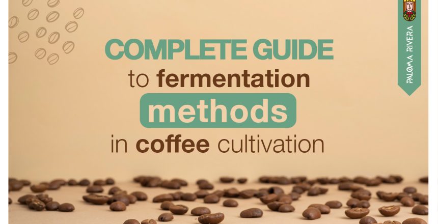 Complete-guide-to-fermentation-methods-in-coffee-cultivation-Paloma-Rivera-Exotic-Coffee