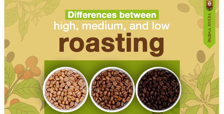 Differences between high, medium, and low roasting-Paloma-Rivera